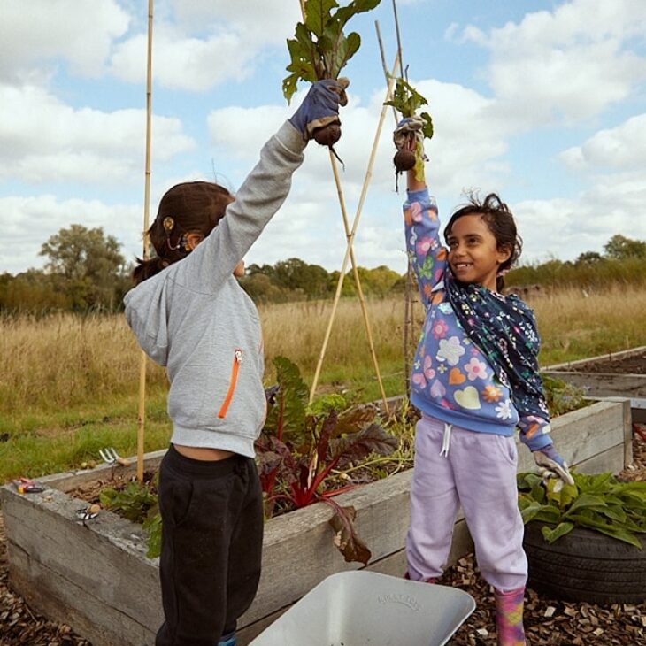 We are Grow - Grow Cook Share Project