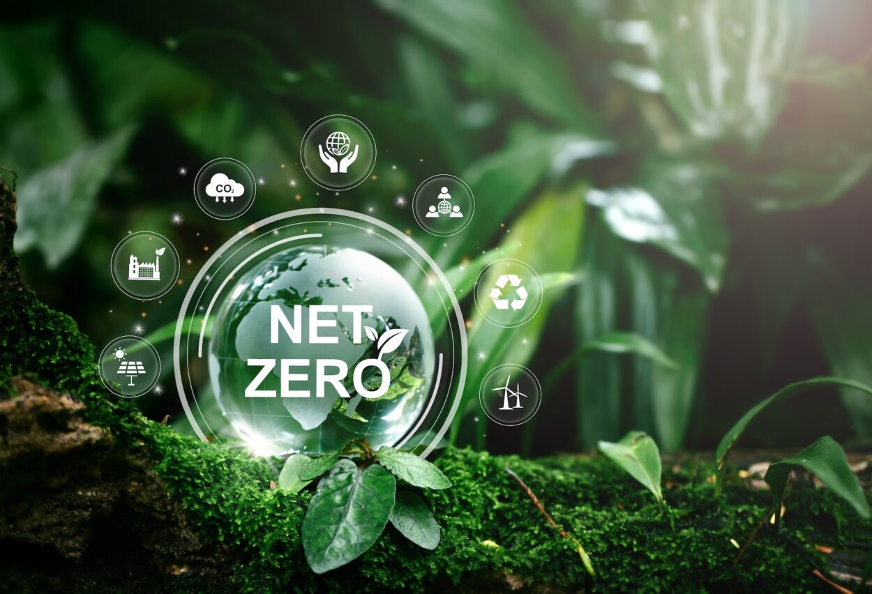 Net Zero