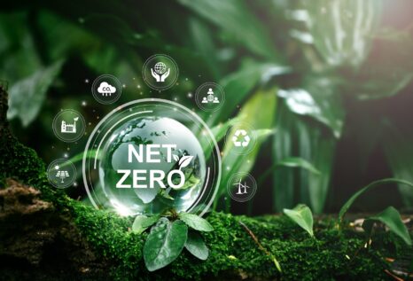 Net Zero